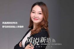 (4分钟科普下)南充咨询服务有限公司_哔哩哔哩